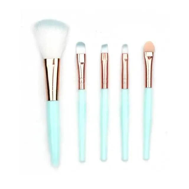 5Pcs Makeup Brushes