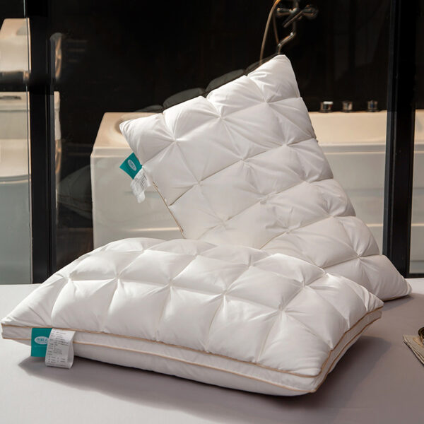3D Goose Down Pillow – Pinch Pleat Ergonomic Sleep Pillow with Silk Cover