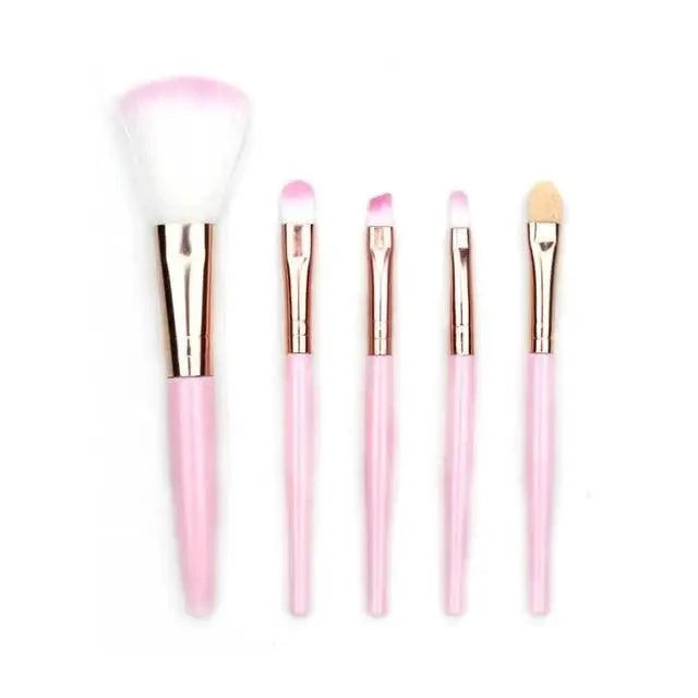 5Pcs Makeup Brushes